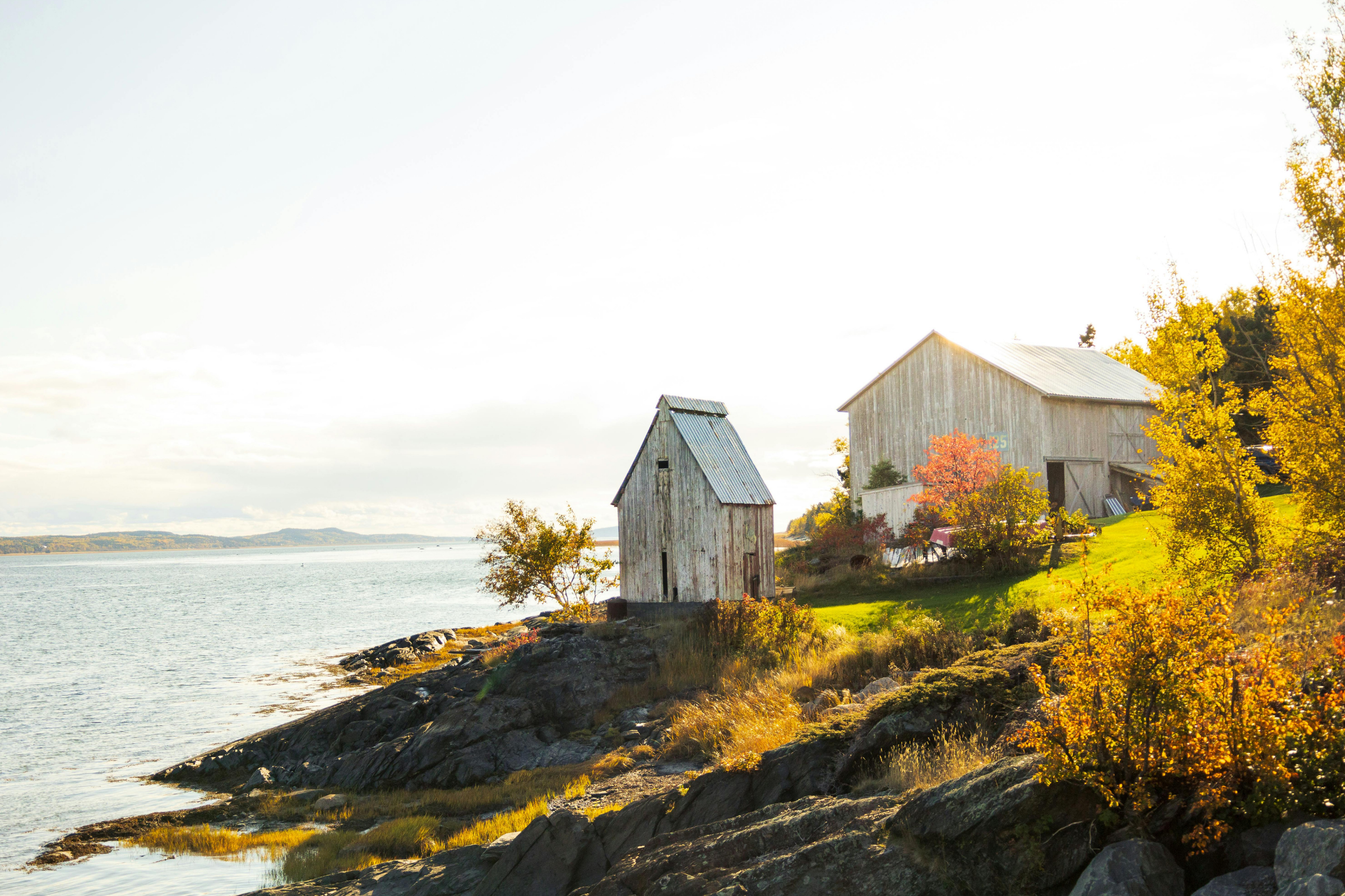 288 la baie, québec.webp